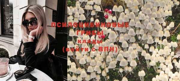 тгк Гусев