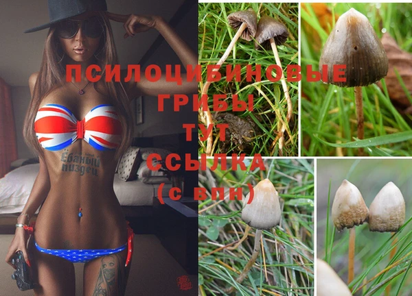 тгк Гусь-Хрустальный