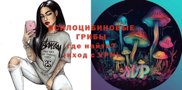 тгк Гусь-Хрустальный