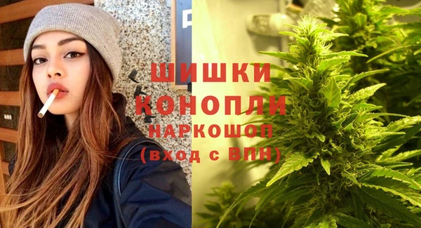 винт Гусиноозёрск
