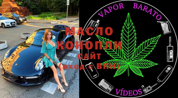 тгк Гусь-Хрустальный
