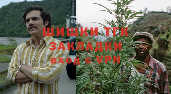 тгк Гусь-Хрустальный
